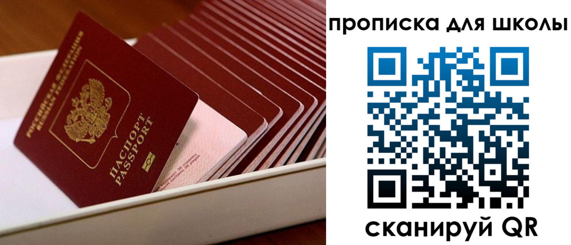 временная регистрация гарантия в Таре